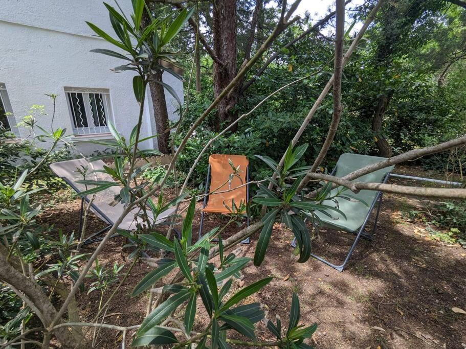 Maison Spacieuse Et Lumineuse 4 Personnes Lavilledieu  المظهر الخارجي الصورة